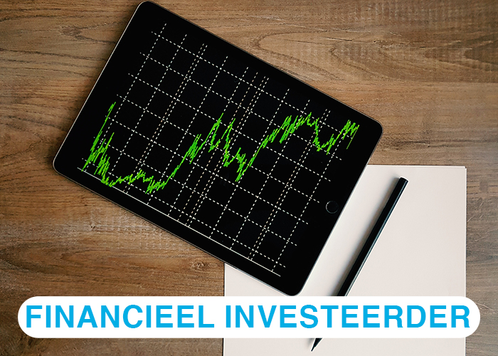 Financieel investeerder Financieel investeerder