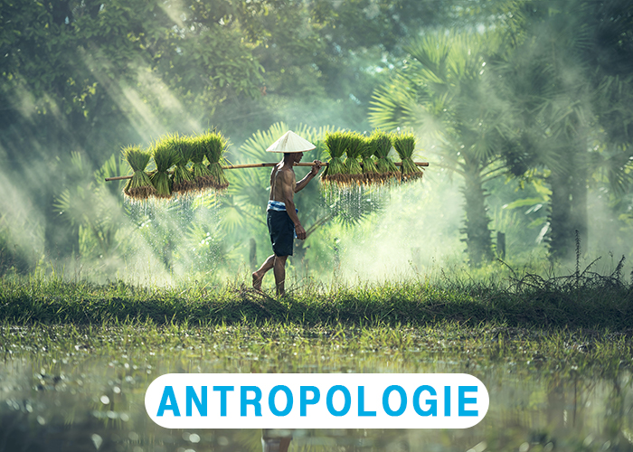 antropologie antropologie