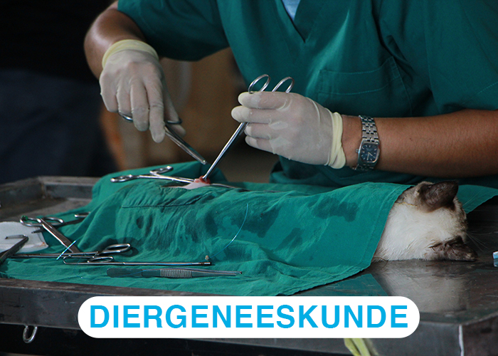 diergeneeskunde diergeneeskunde