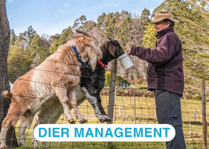 diermanagement diermanagement
