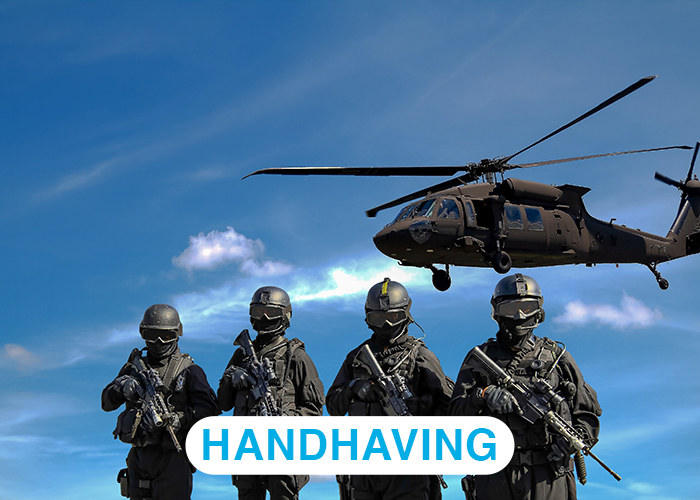 handhaving handhaving
